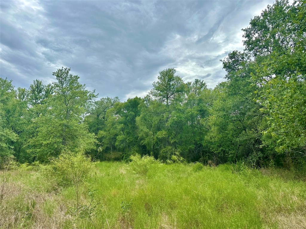 0 Decker Lake Road , Austin, TX, 78724 | 1584558 | Realty Texas LLC