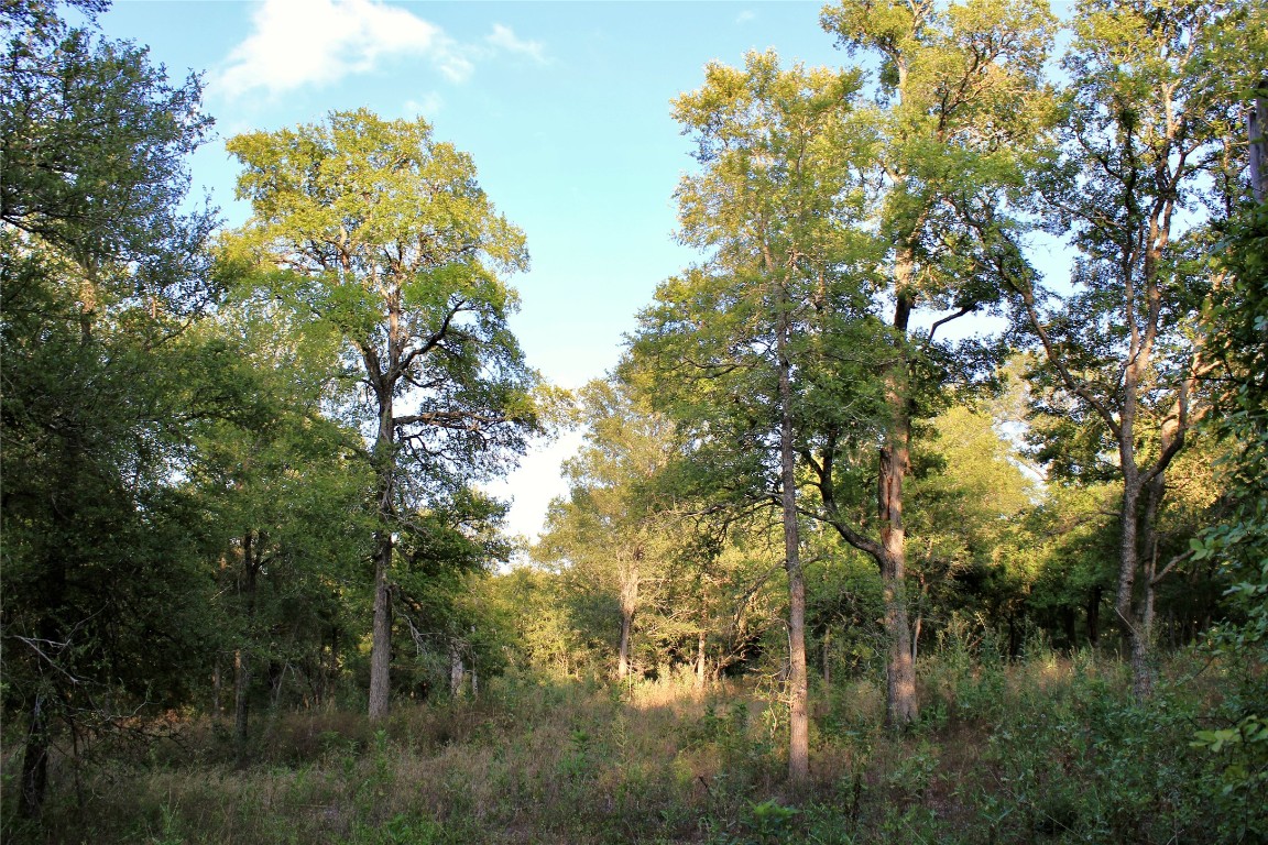 0 Decker Lake Road , Austin, TX, 78724 | 1584558 | Realty Texas LLC