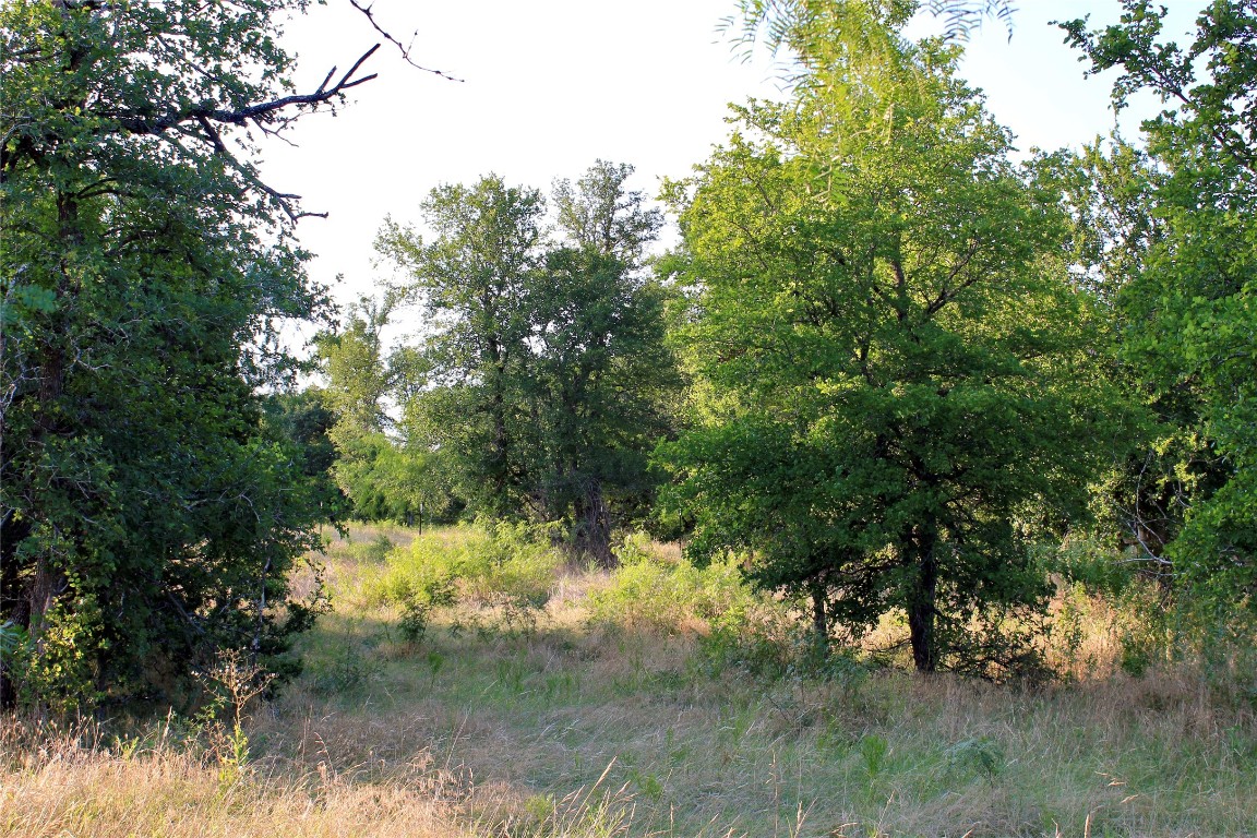 0 Decker Lake Road , Austin, TX, 78724 | 1584558 | Realty Texas LLC