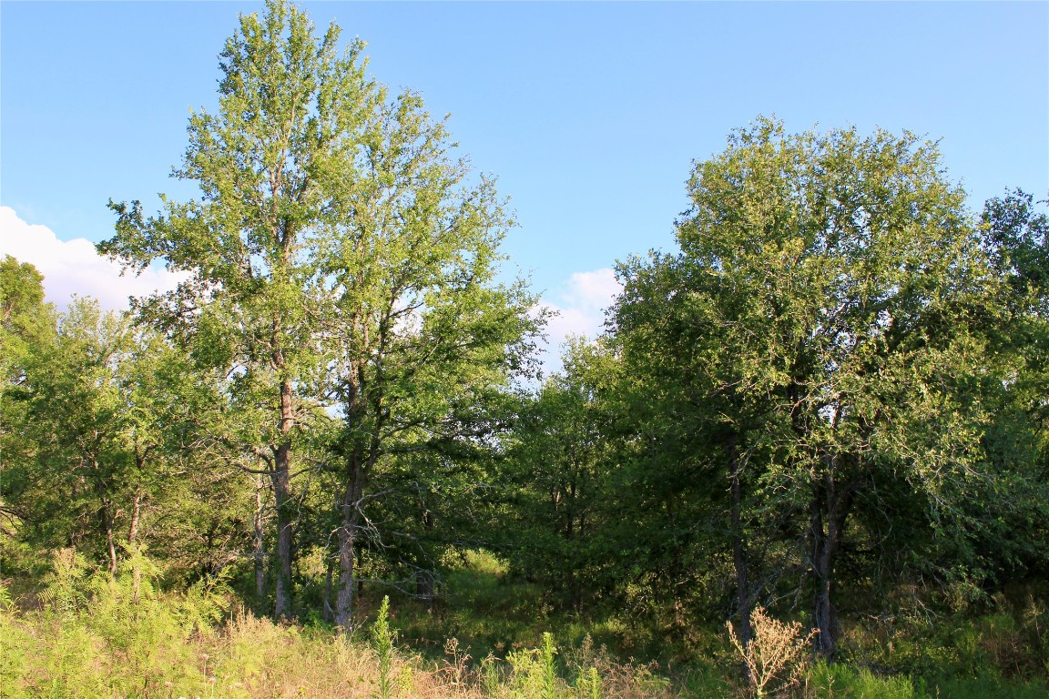 0 Decker Lake Road , Austin, TX, 78724 | 1584558 | Realty Texas LLC