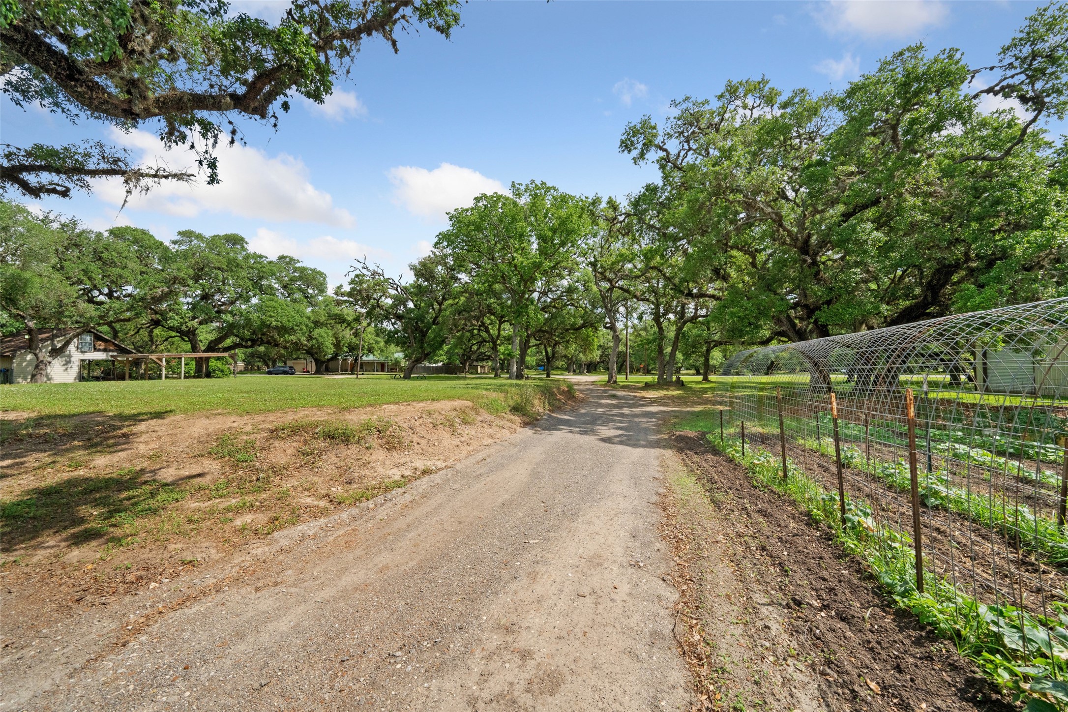 52 Sandy Creek Drive , Van Vleck, TX, 77482 | 17619392 | Realty Texas LLC