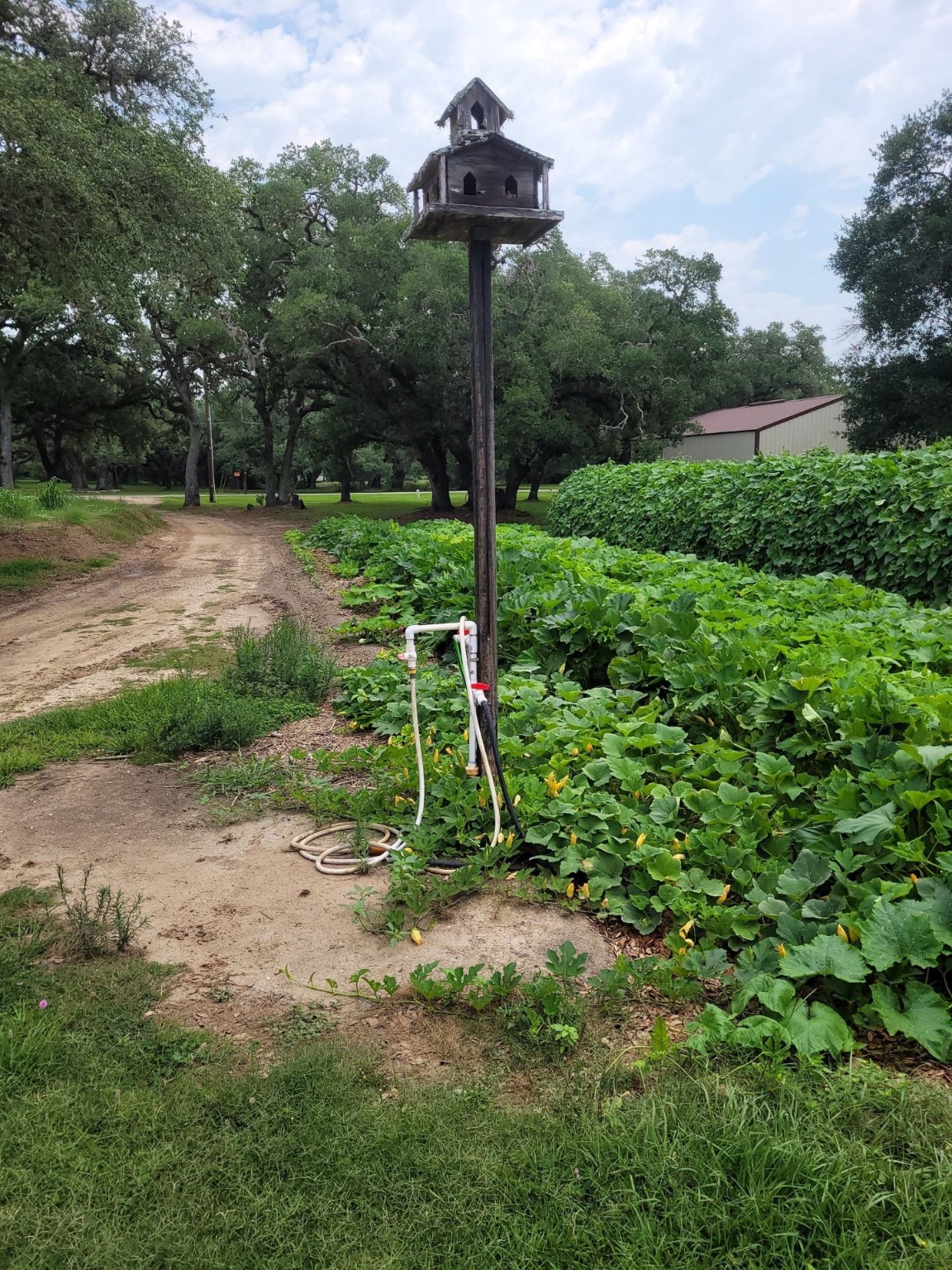 52 Sandy Creek Drive , Van Vleck, TX, 77482 | 17619392 | Realty Texas LLC