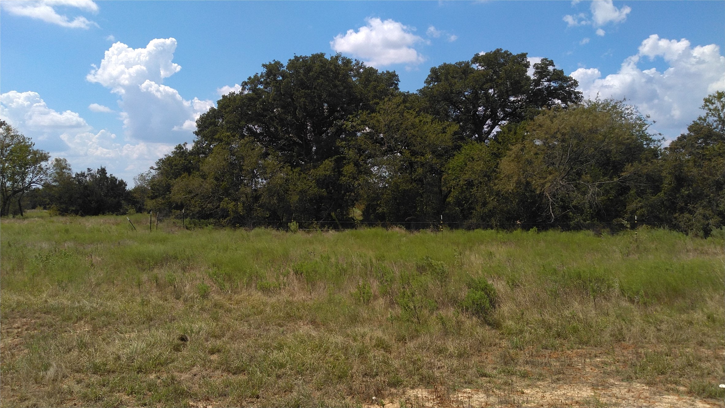 TBD Lot 44 CR 127 , Carlton, TX, 76436 | 20899707 | Realty Texas LLC