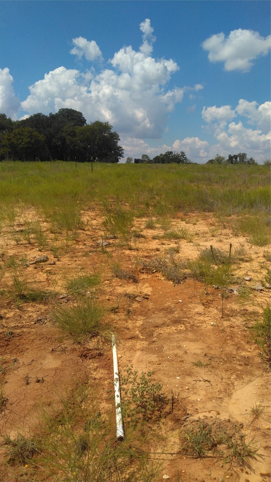 TBD Lot 44 CR 127 , Carlton, TX, 76436 | 20899707 | Realty Texas LLC