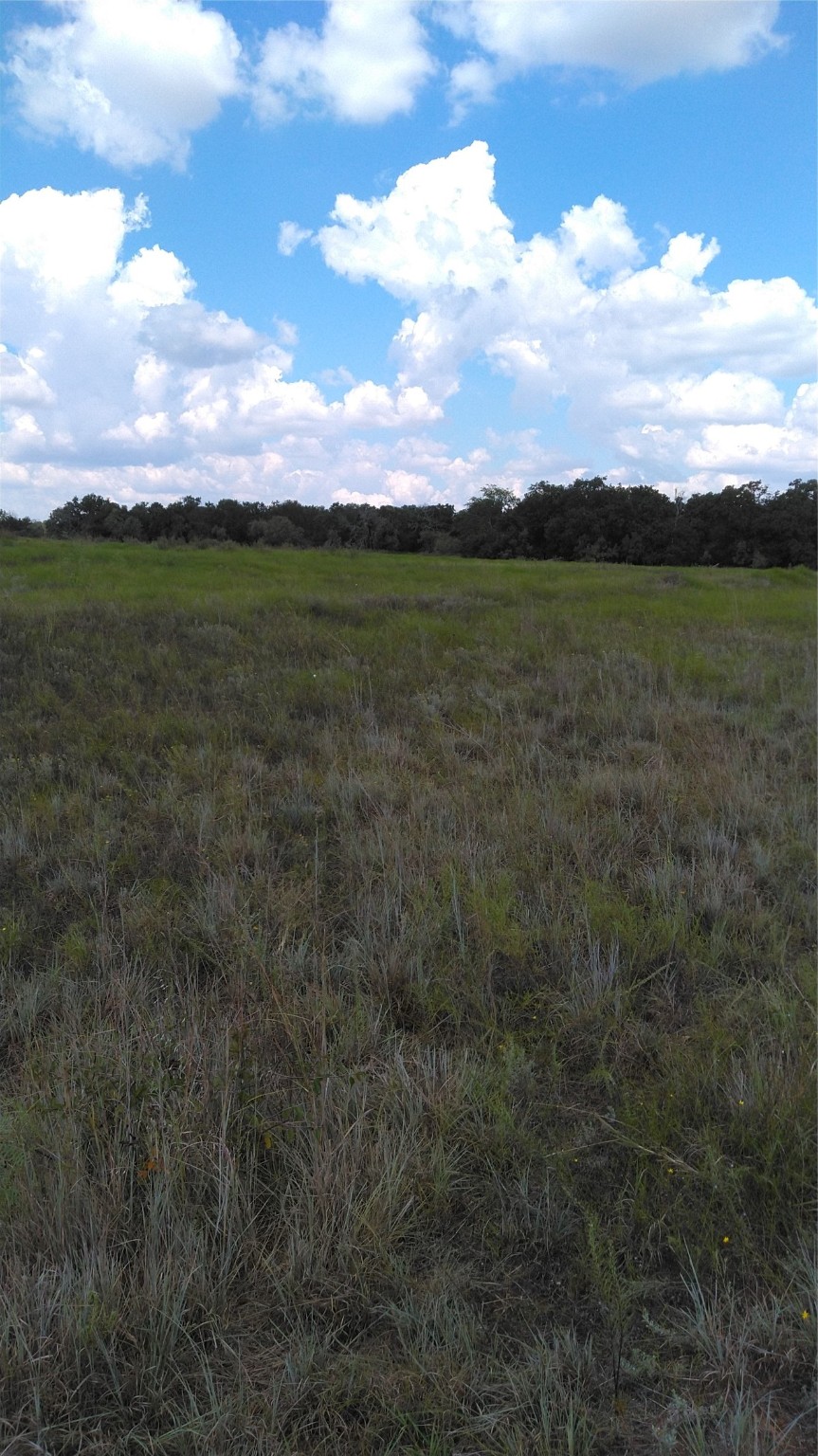 TBD Lot 44 CR 127 , Carlton, TX, 76436 | 20899707 | Realty Texas LLC