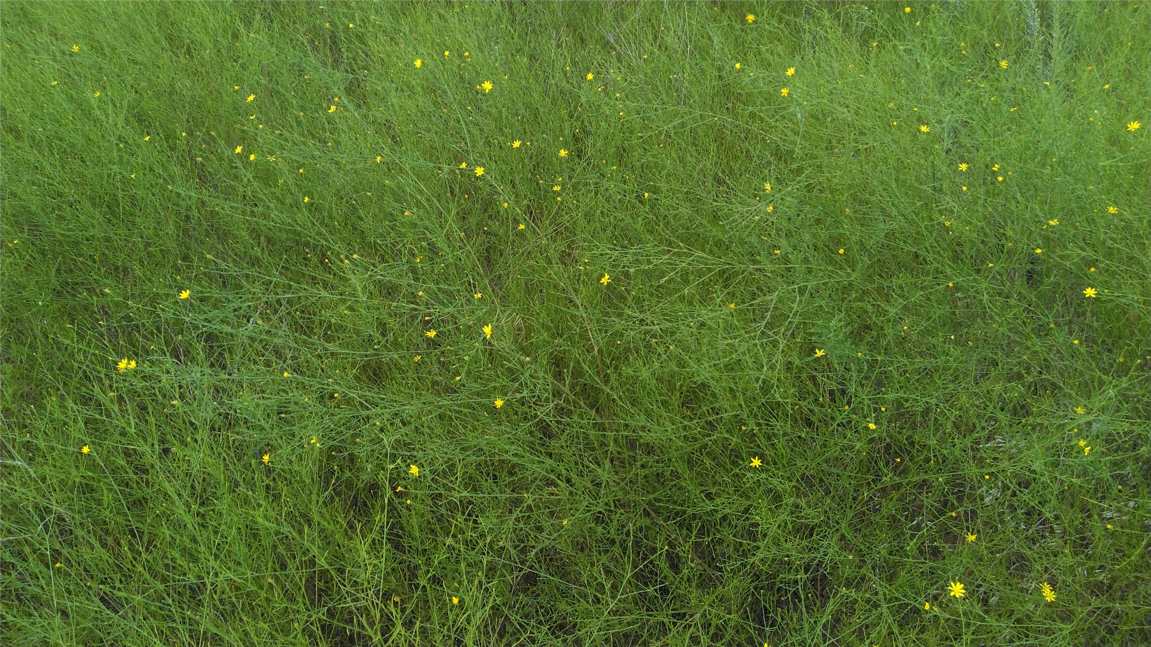 TBD Lot 44 CR 127 , Carlton, TX, 76436 | 20899707 | Realty Texas LLC