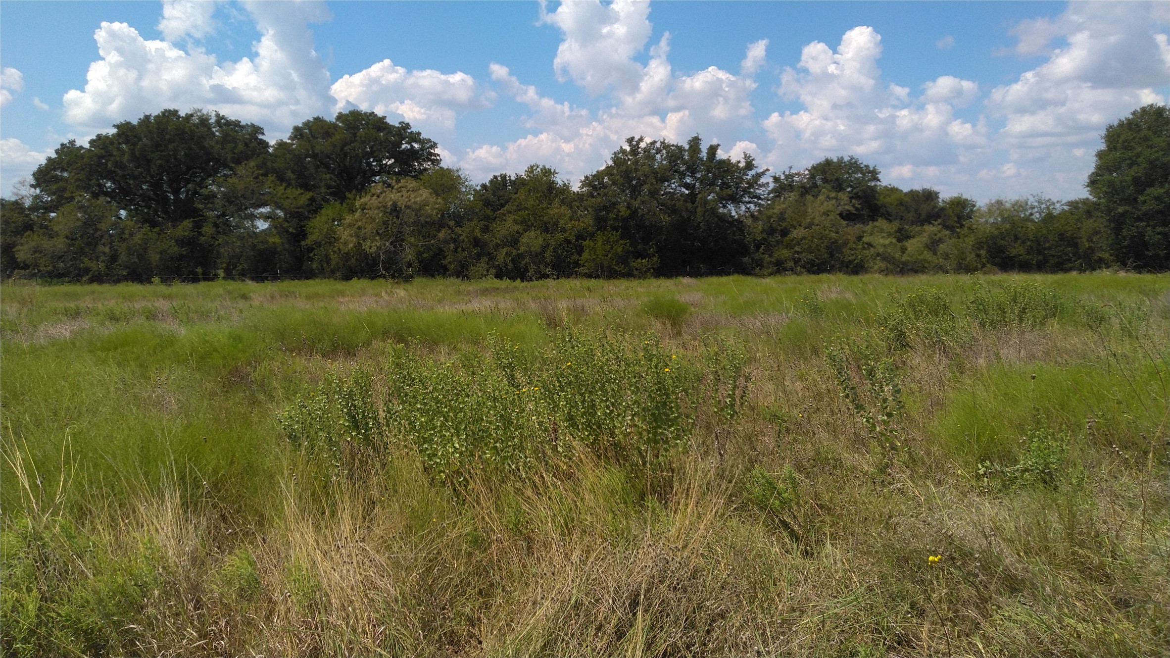 TBD Lot 44 CR 127 , Carlton, TX, 76436 | 20899707 | Realty Texas LLC