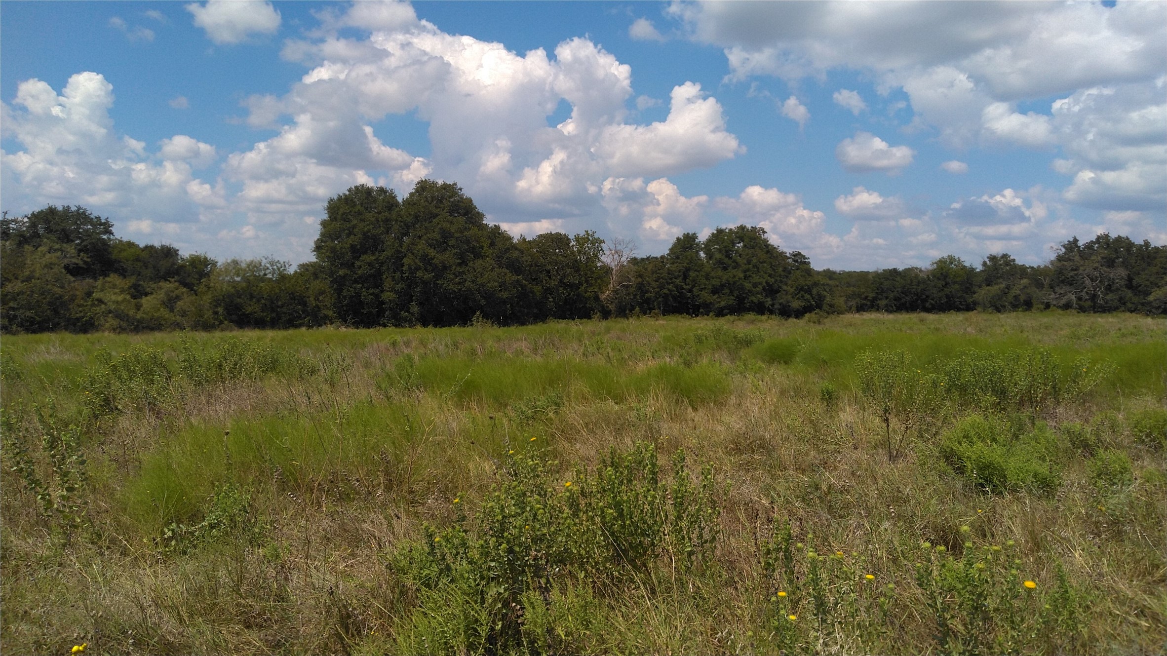 TBD Lot 44 CR 127 , Carlton, TX, 76436 | 20899707 | Realty Texas LLC
