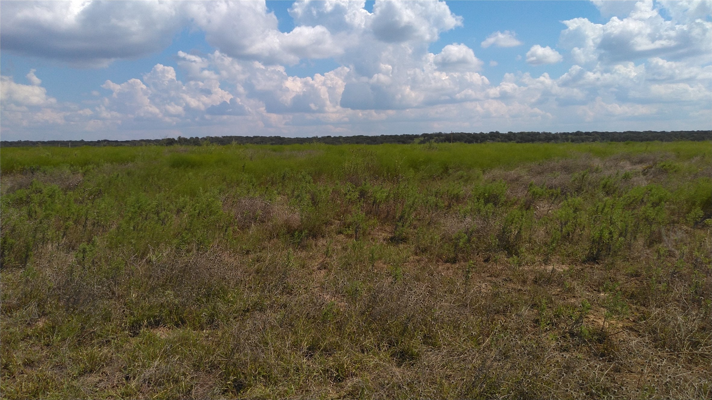 TBD Lot 44 CR 127 , Carlton, TX, 76436 | 20899707 | Realty Texas LLC