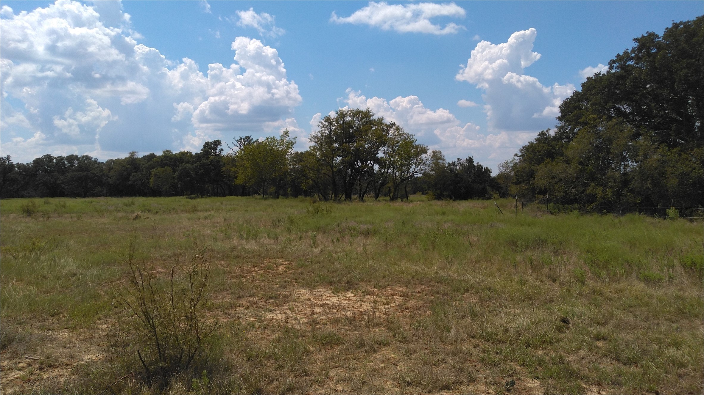 TBD Lot 44 CR 127 , Carlton, TX, 76436 | 20899707 | Realty Texas LLC