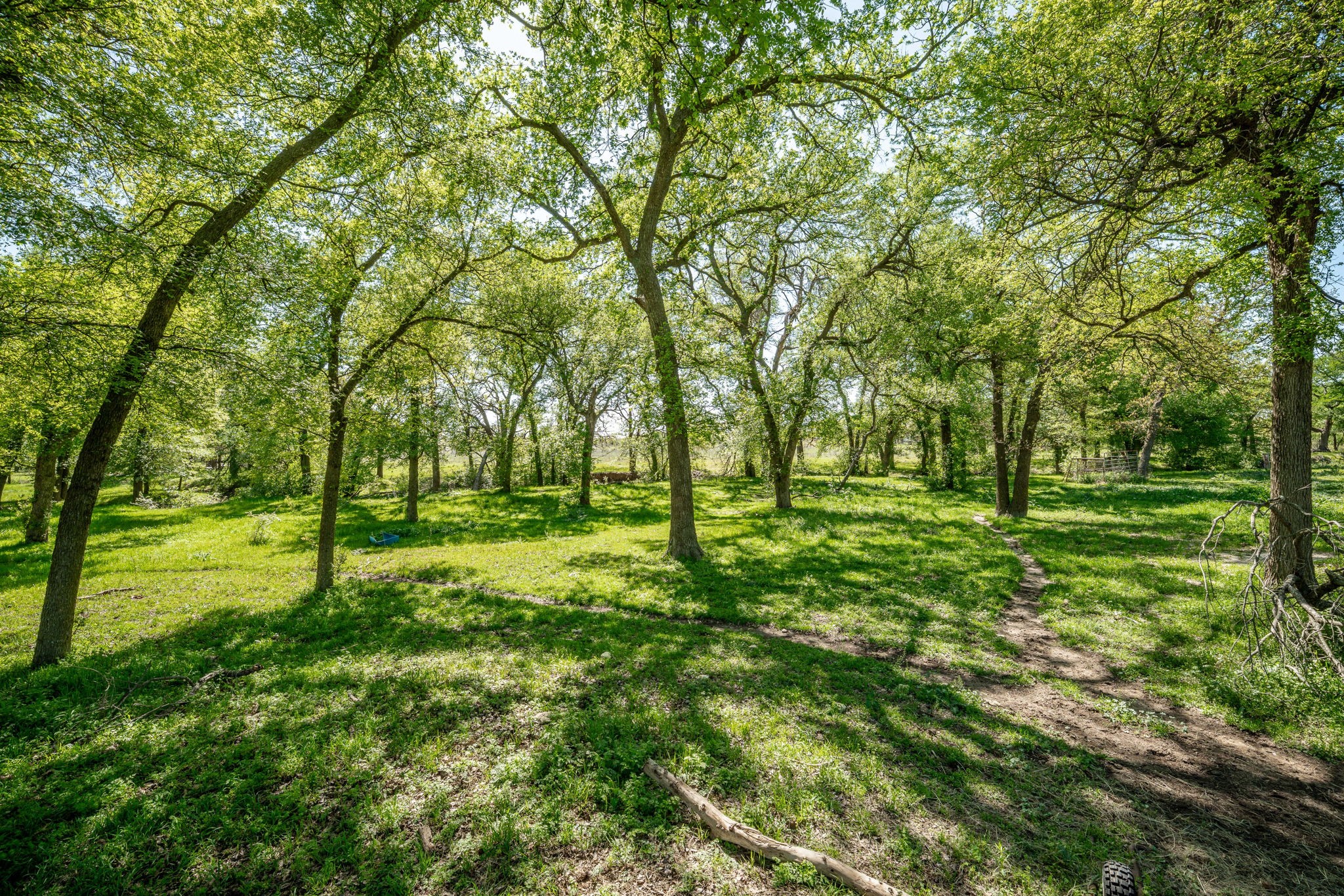 10202 S US Highway 377 2, Dublin, TX, 76446 | 20900138 | Realty Texas LLC