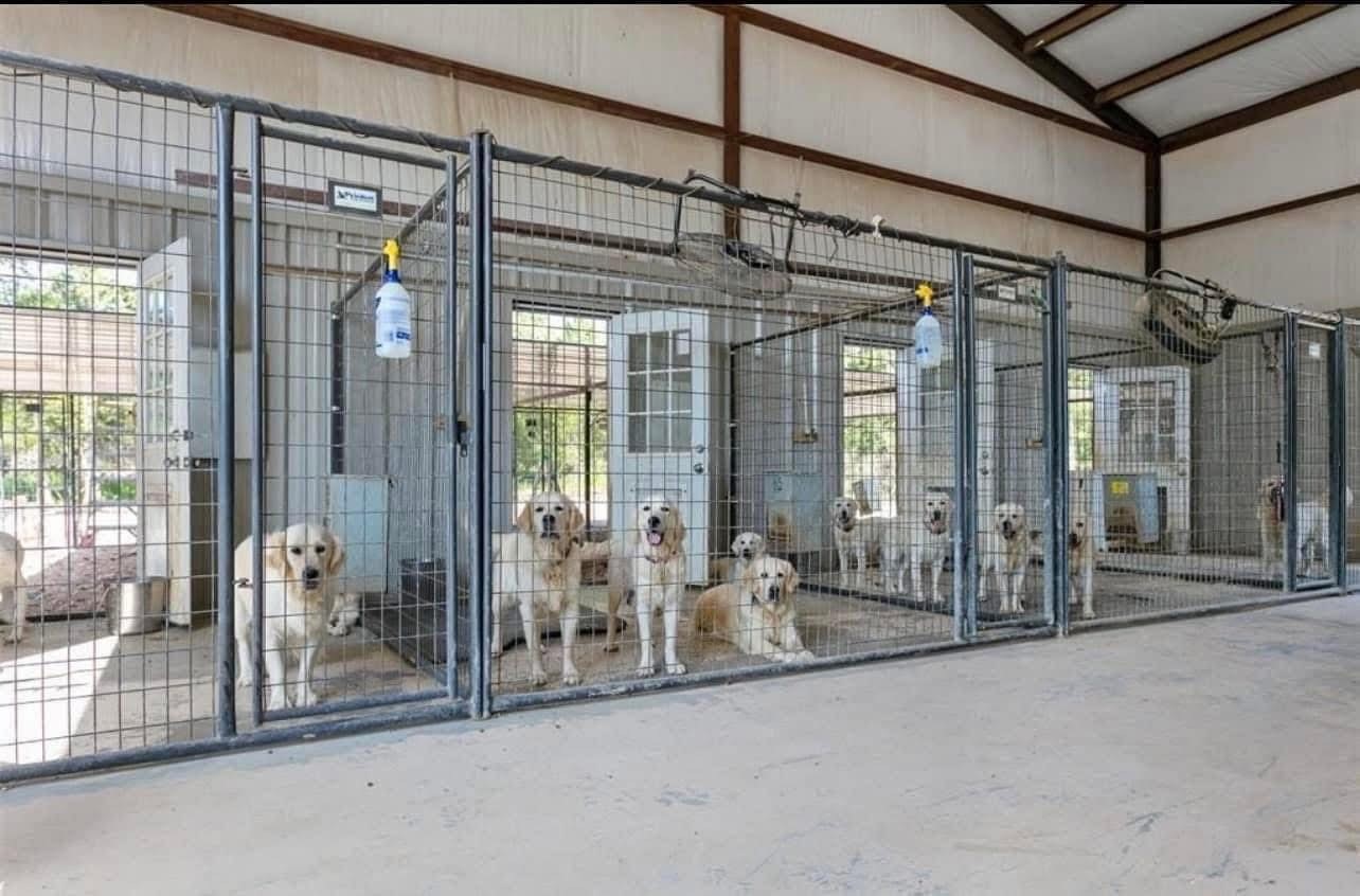 100 Patriots Place, Somerville, TX, 77879 | 96897272 | Realty Texas LLC