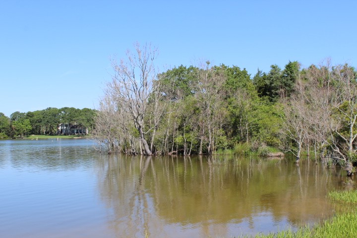 Lot 27& 28 Sloop Road , Normangee, TX, 77871 | 31041647 | Realty Texas LLC