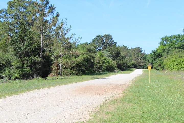 Lot 27& 28 Sloop Road , Normangee, TX, 77871 | 31041647 | Realty Texas LLC