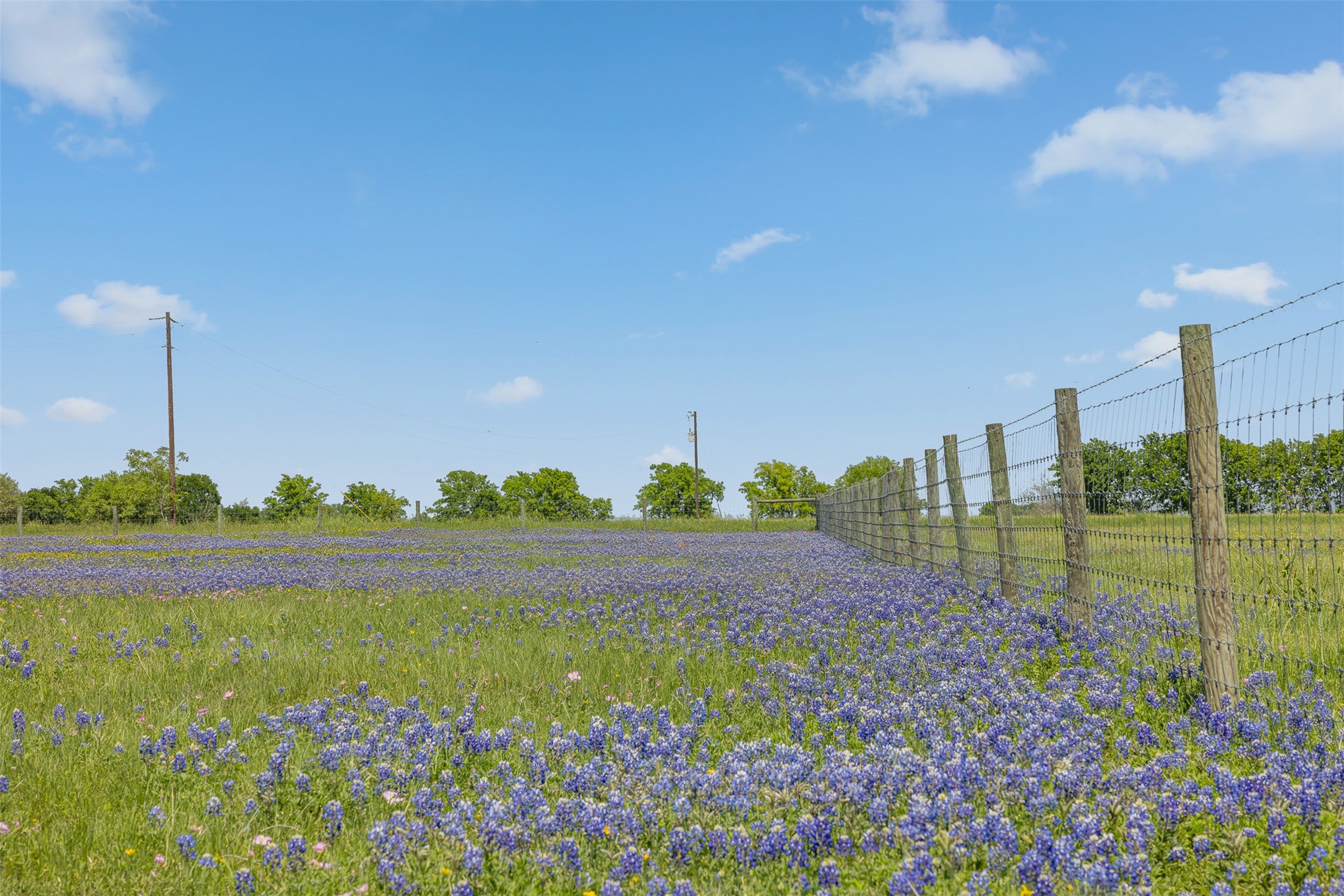 139 Blossom Hill Road , Round Top, TX, 78954 | 63274400 | Realty Texas LLC
