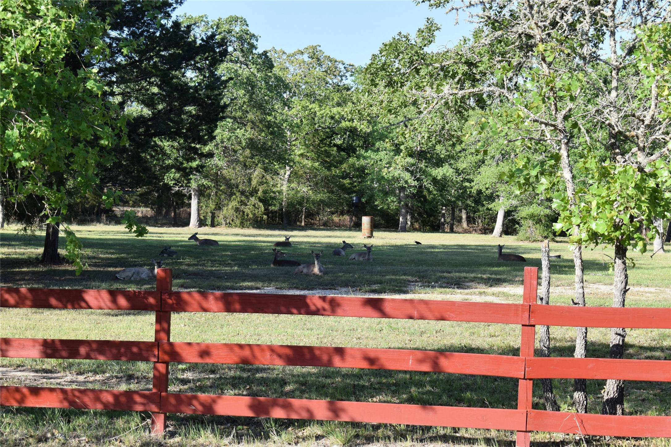 511 Deer Run Trail, Somerville, TX, 77879 | 78735471 | Realty Texas LLC