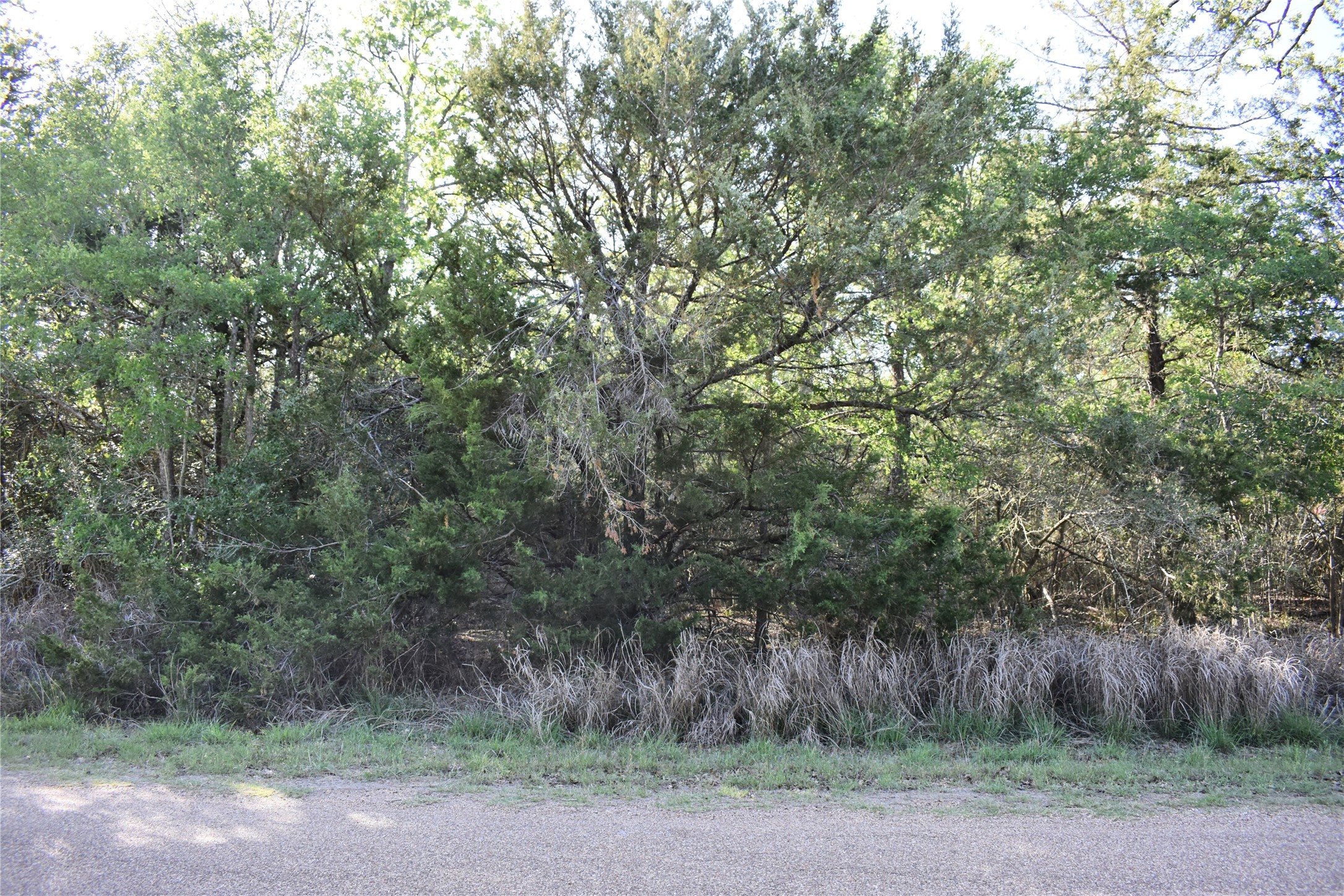 511 Deer Run Trail, Somerville, TX, 77879 | 78735471 | Realty Texas LLC