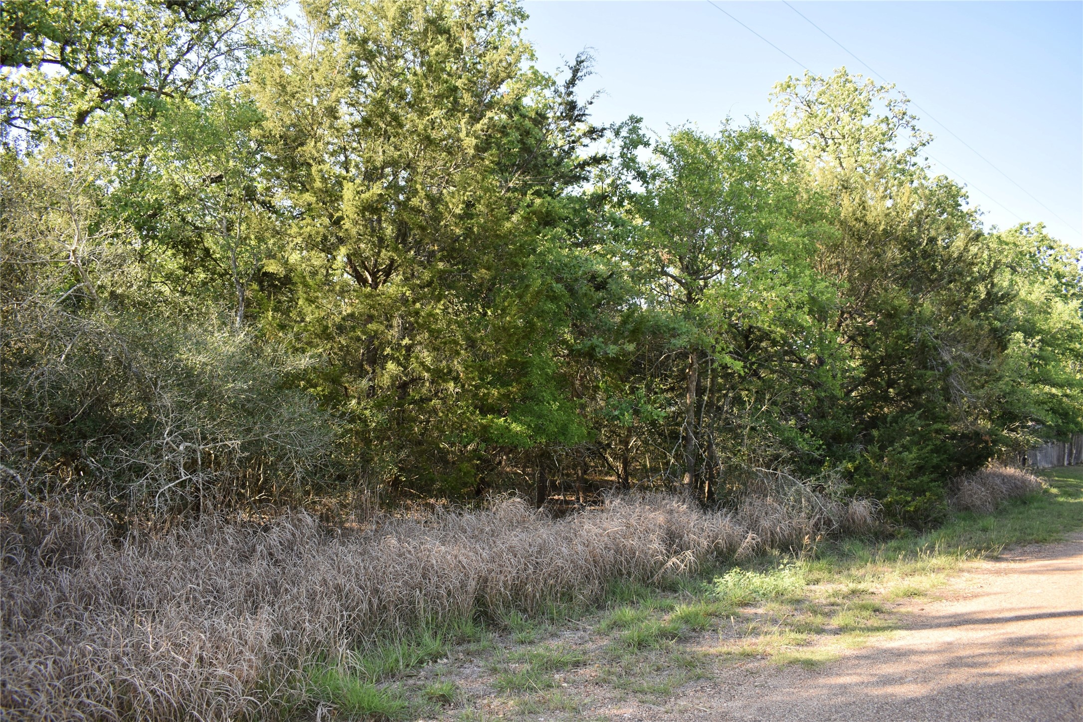 511 Deer Run Trail, Somerville, TX, 77879 | 78735471 | Realty Texas LLC