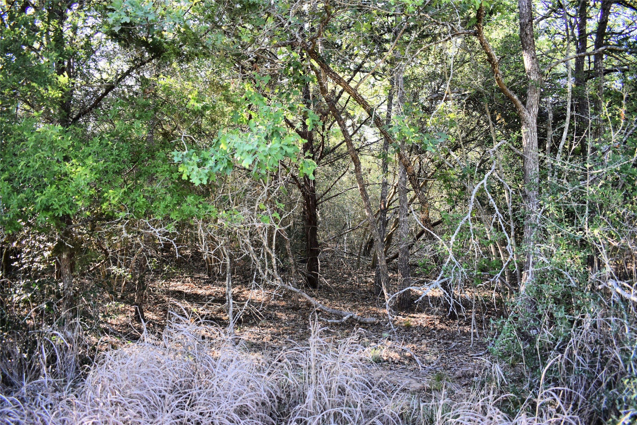 511 Deer Run Trail, Somerville, TX, 77879 | 78735471 | Realty Texas LLC