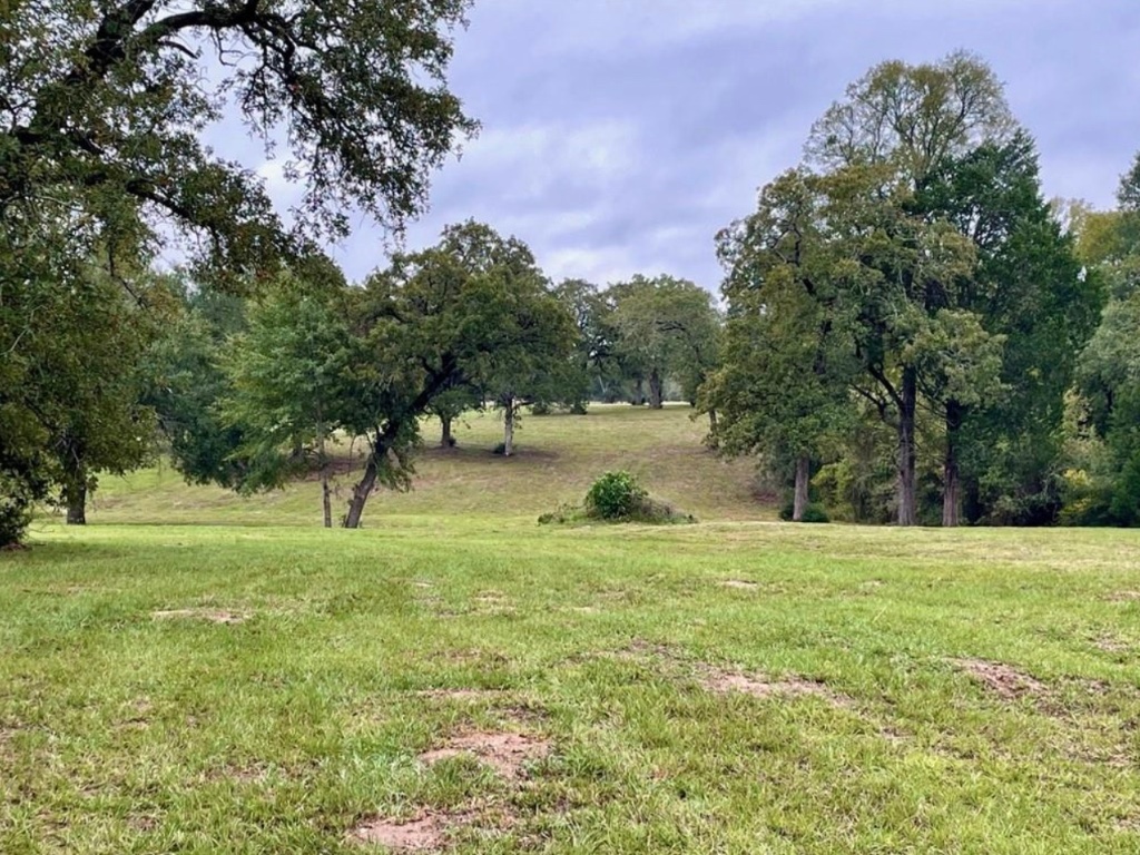 1073 Creekside Lane , Lexington, TX, 78947 | 1599470 | Realty Texas LLC