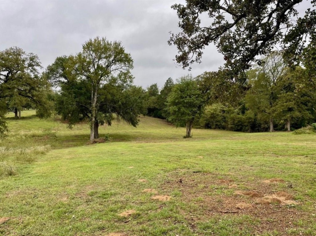1073 Creekside Lane , Lexington, TX, 78947 | 1599470 | Realty Texas LLC