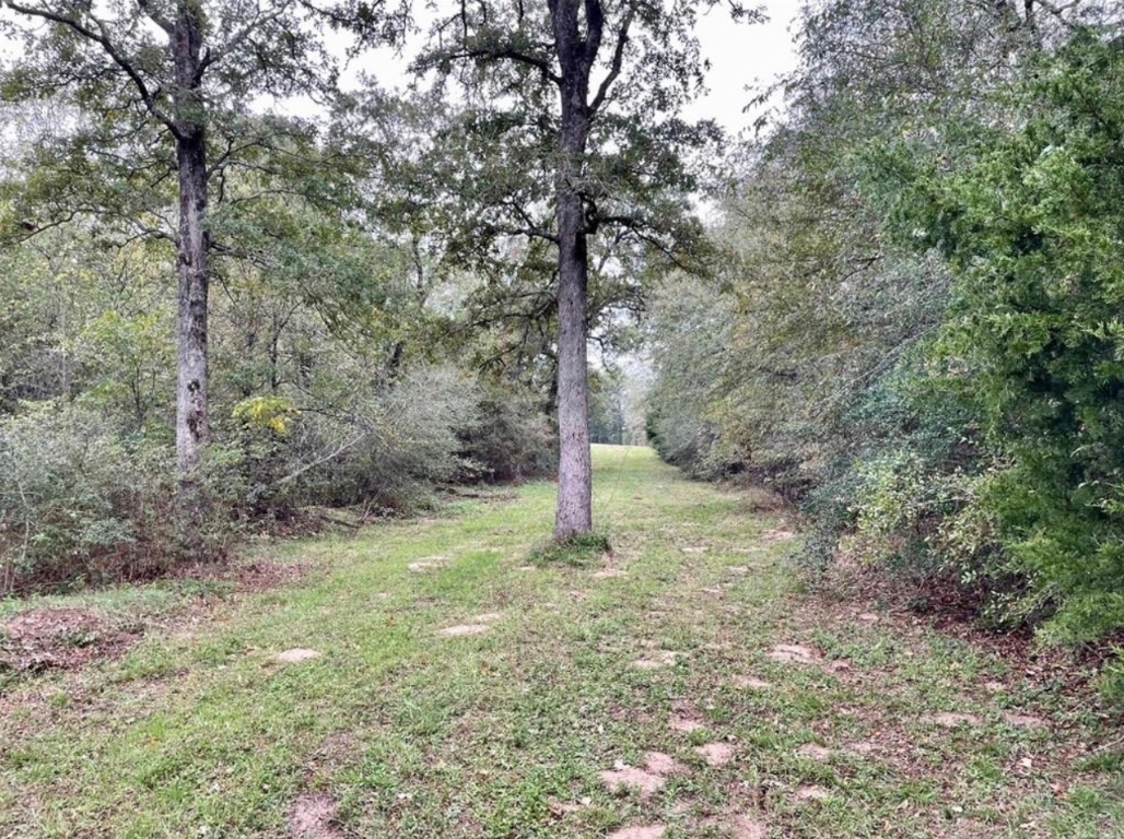 1073 Creekside Lane , Lexington, TX, 78947 | 1599470 | Realty Texas LLC