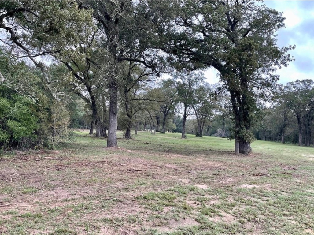 1073 Creekside Lane , Lexington, TX, 78947 | 1599470 | Realty Texas LLC