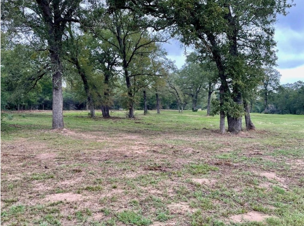 1073 Creekside Lane , Lexington, TX, 78947 | 1599470 | Realty Texas LLC