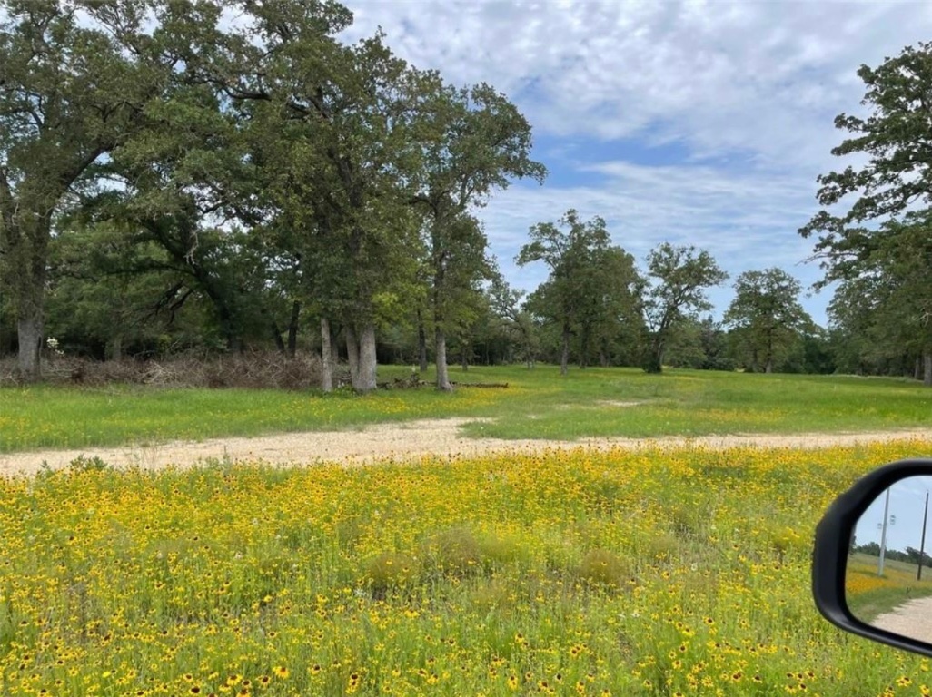 1073 Creekside Lane , Lexington, TX, 78947 | 1599470 | Realty Texas LLC