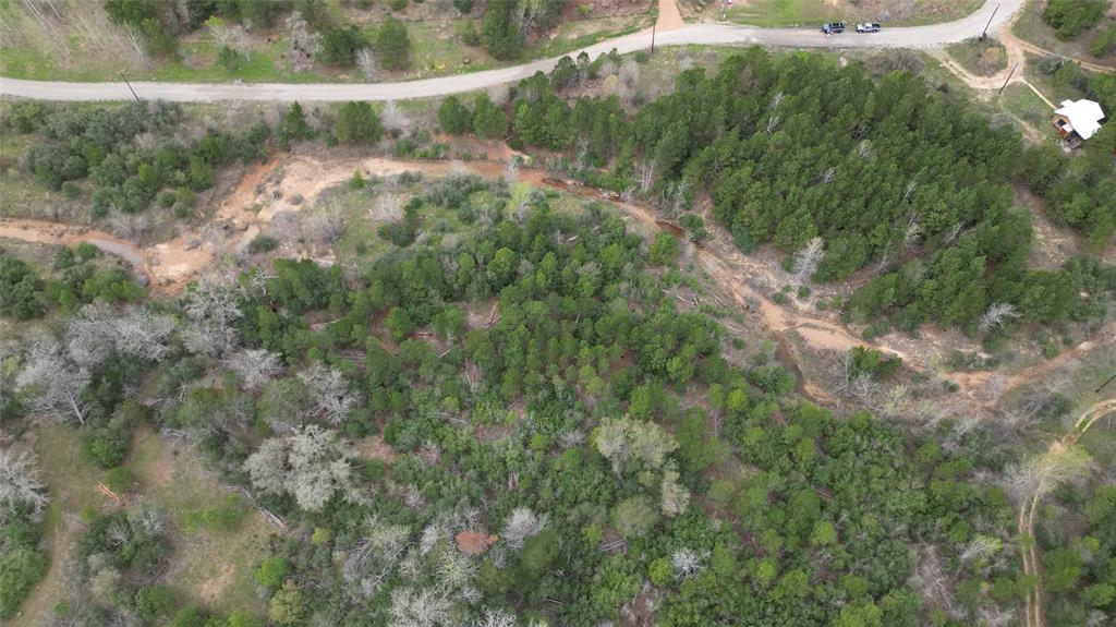 233 Winfield Thicket Road , Bastrop, TX, 78602 | 9691236 | Realty Texas LLC