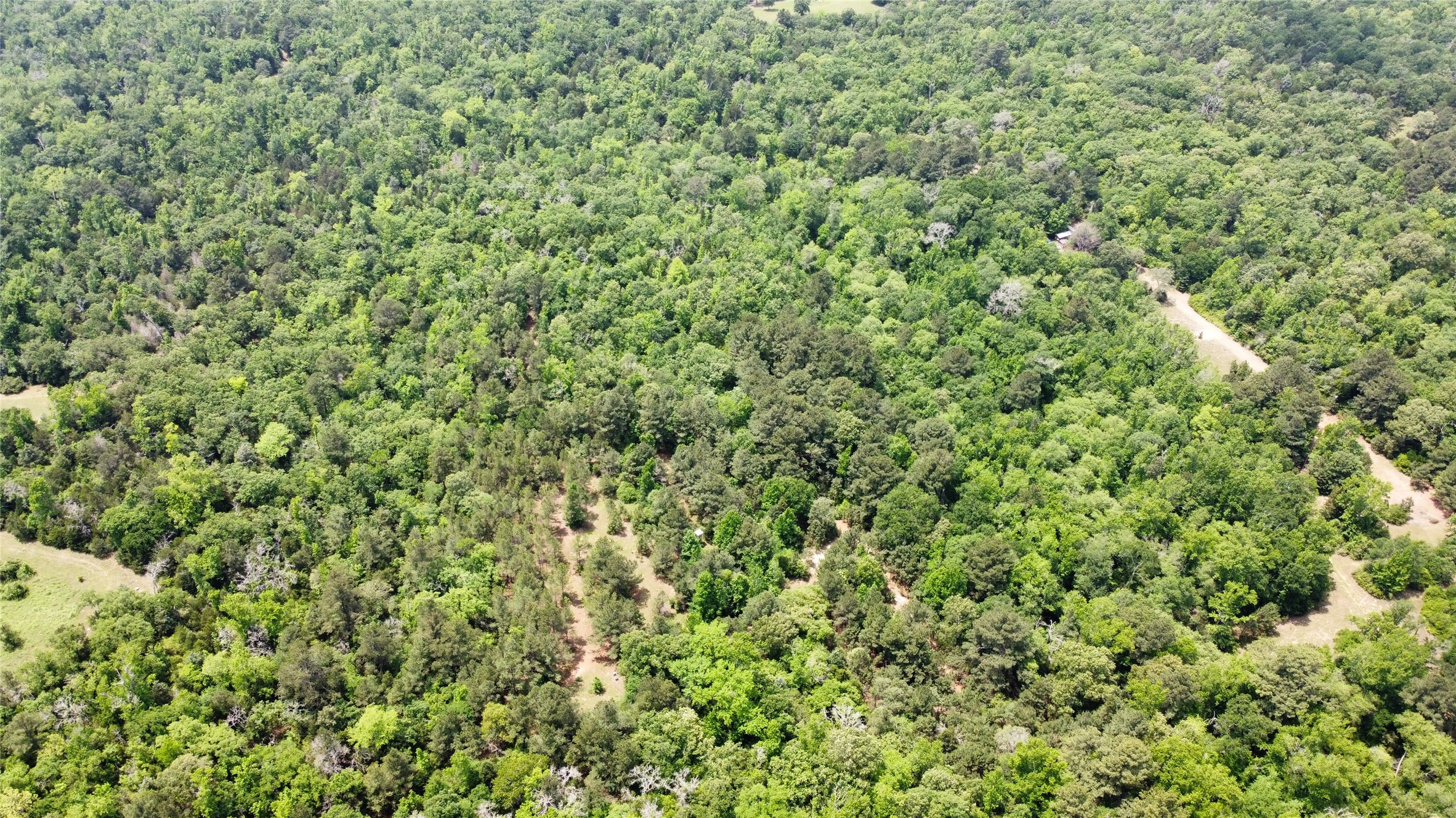 0 Pr 2210, Buffalo, TX, 75831 | 17749908 | Realty Texas LLC