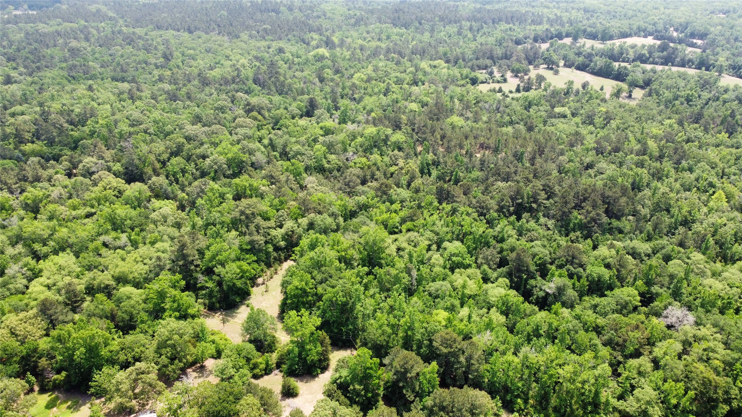 0 Pr 2210, Buffalo, TX, 75831 | 17749908 | Realty Texas LLC