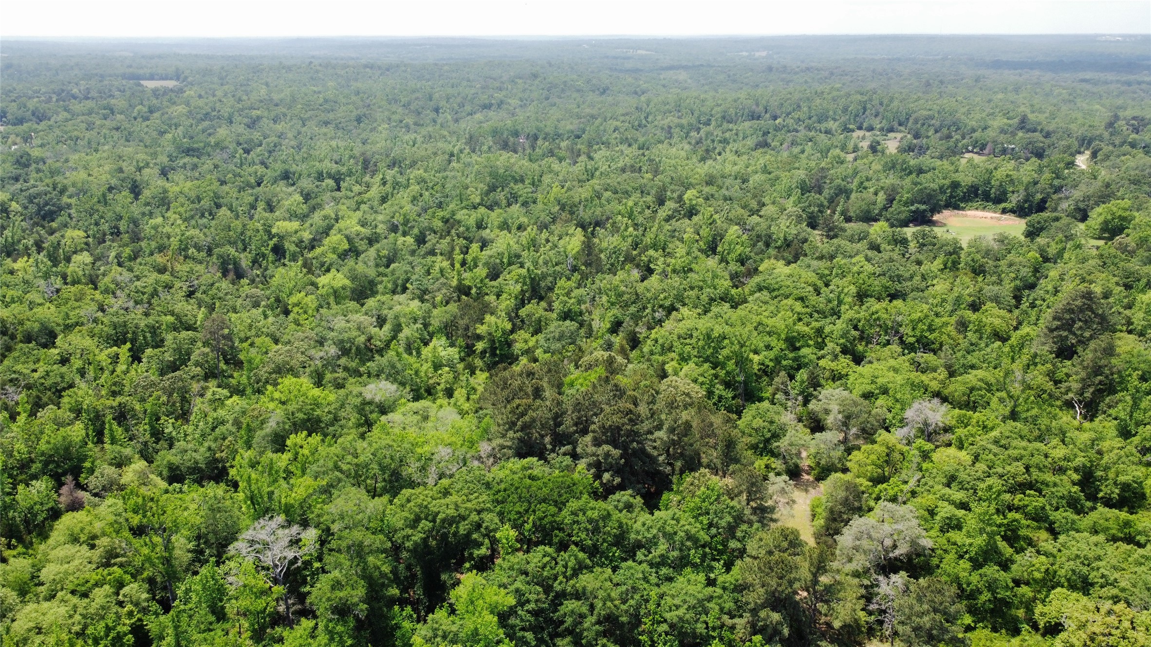 0 Pr 2210, Buffalo, TX, 75831 | 17749908 | Realty Texas LLC