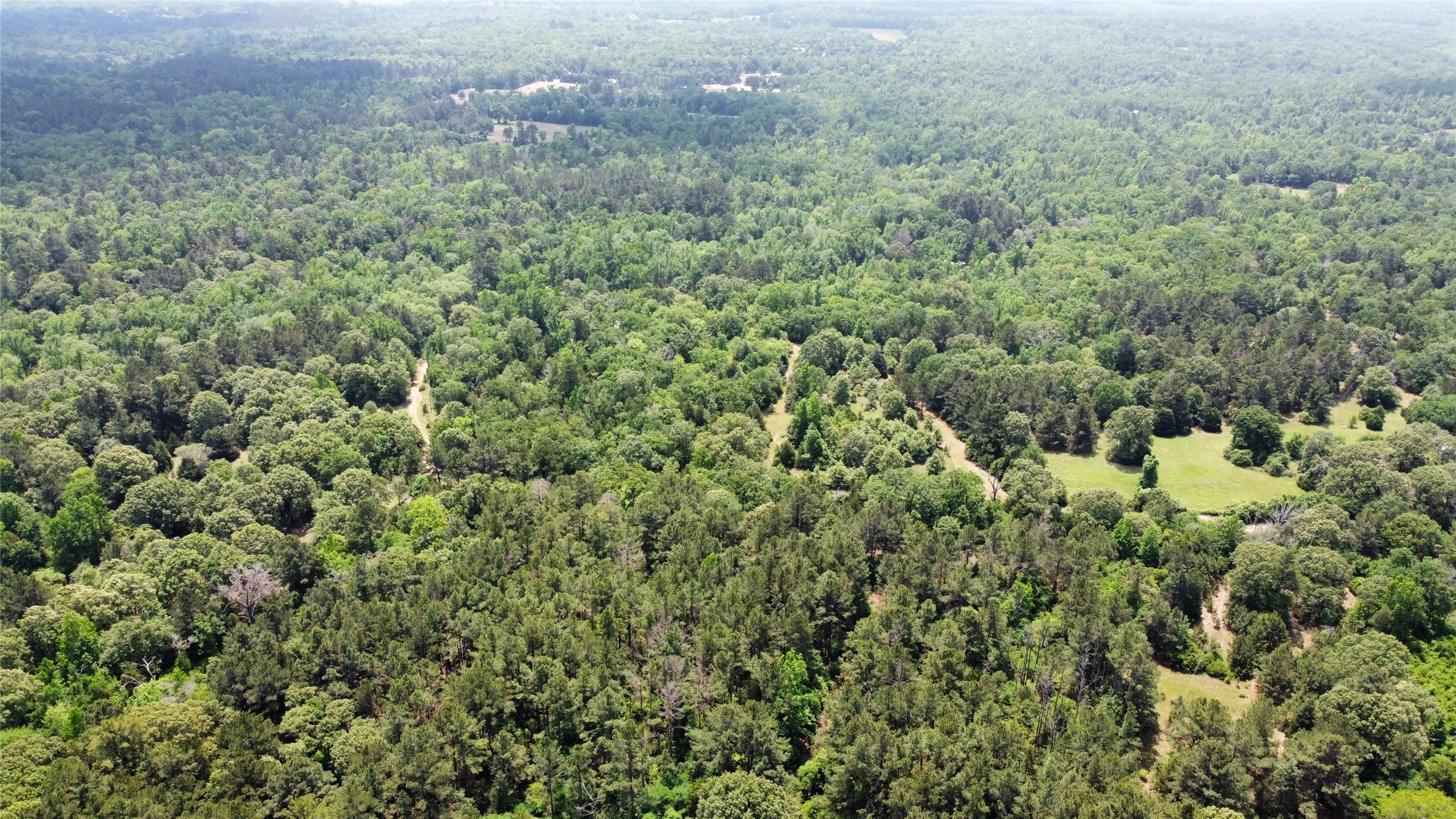 0 Pr 2210, Buffalo, TX, 75831 | 17749908 | Realty Texas LLC