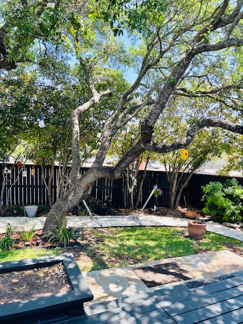 2311 Encino Mist , San Antonio, TX, 78259 | 1900260 | Realty Texas LLC