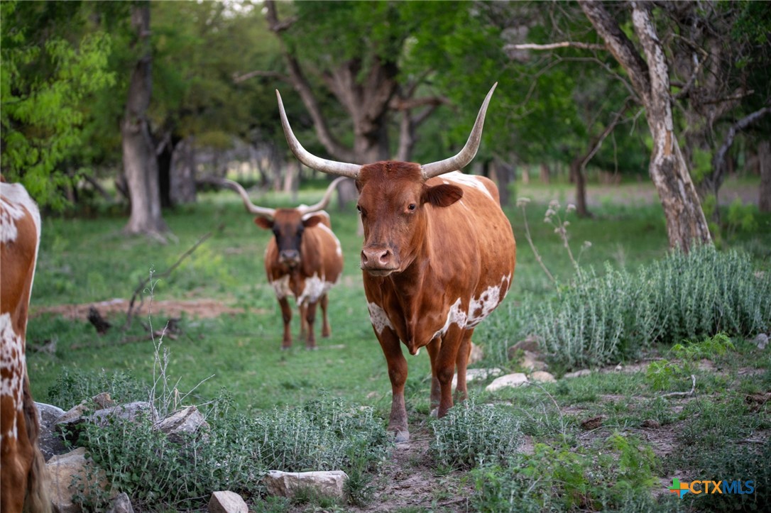 92 Acres N US Highway 281, Lampasas, TX, 76550 | 576926 | Realty Texas LLC