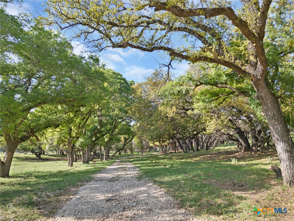 92 Acres N US Highway 281, Lampasas, TX, 76550 | 576926 | Realty Texas LLC