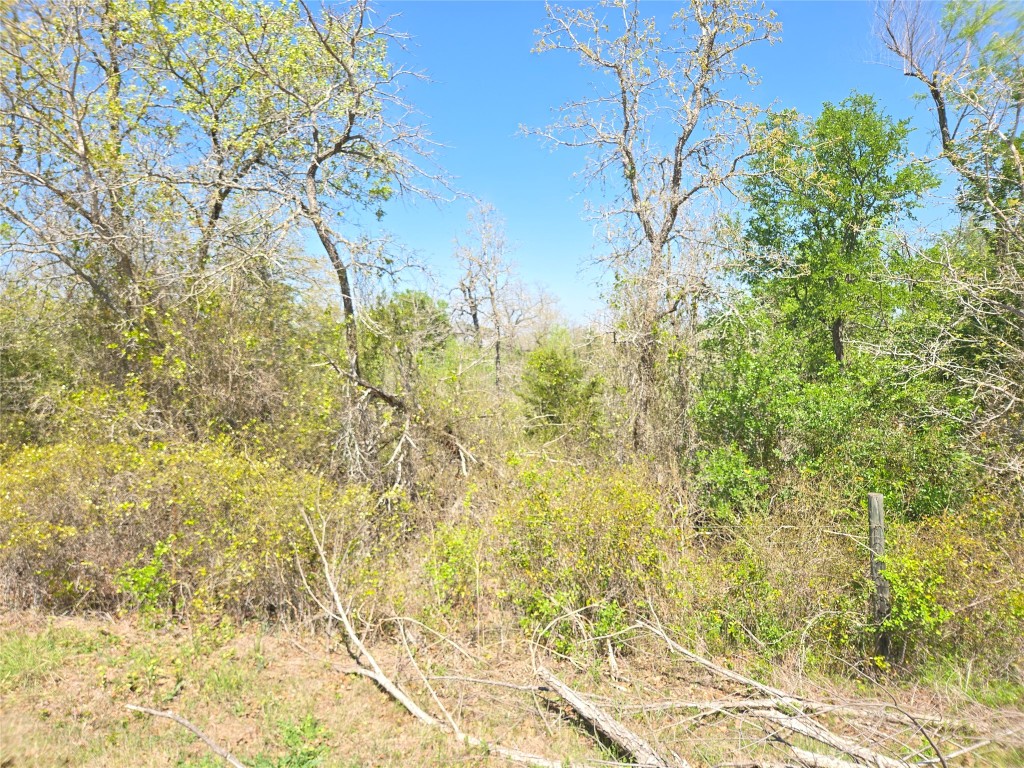 TBA Thousand Oaks Dr. Lot Thousand Oaks Drive , Cedar Creek, TX, 78612 | 7828876 | Realty Texas LLC