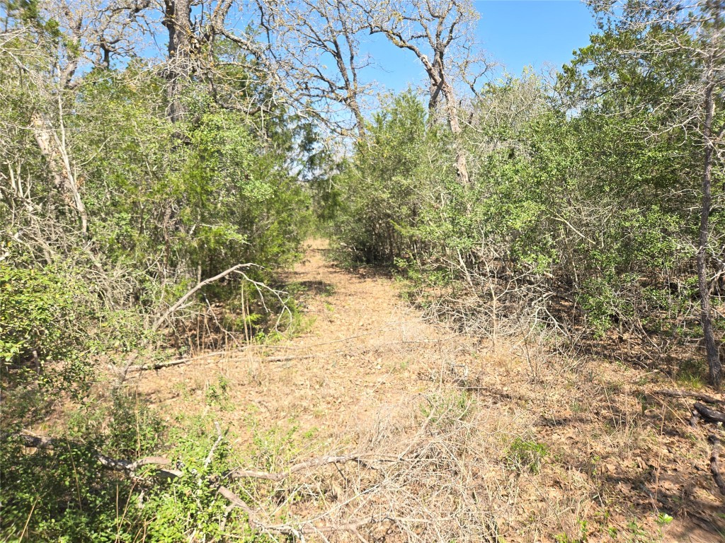 TBA Thousand Oaks Dr. Lot Thousand Oaks Drive , Cedar Creek, TX, 78612 | 7828876 | Realty Texas LLC