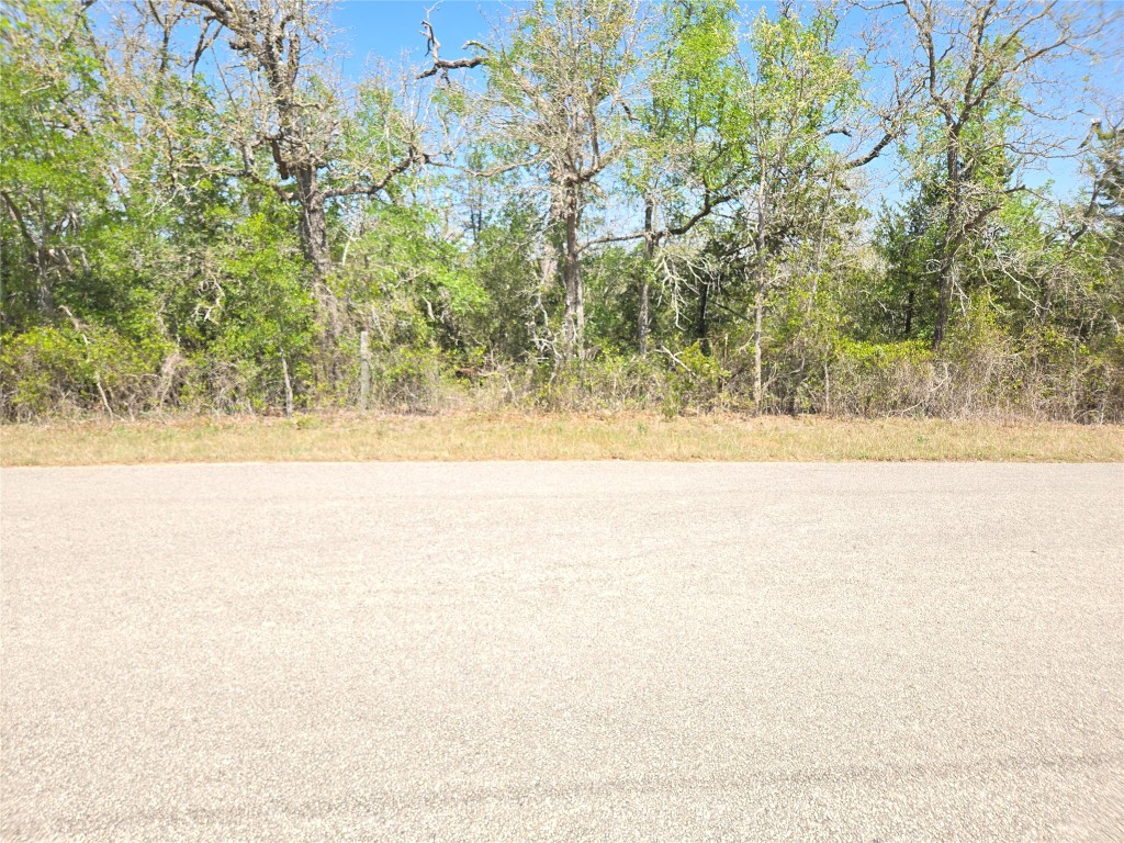 TBA Thousand Oaks Dr. Lot Thousand Oaks Drive , Cedar Creek, TX, 78612 | 7828876 | Realty Texas LLC