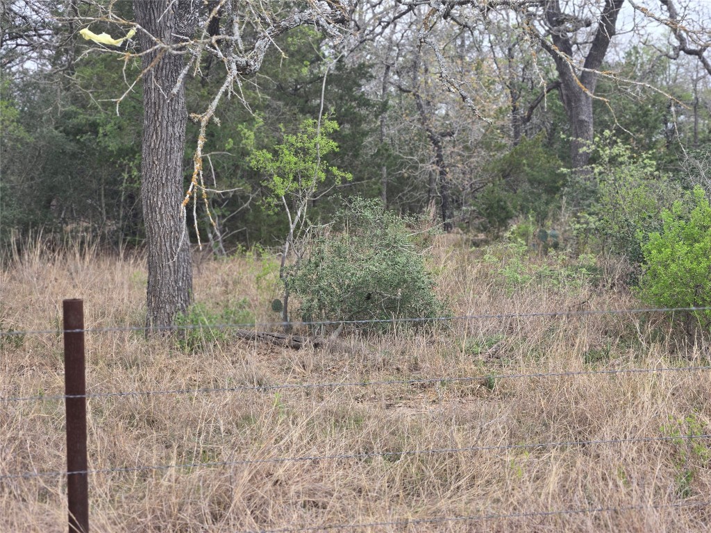 TBA Thousand Oaks Dr. Lot Thousand Oaks Drive , Cedar Creek, TX, 78612 | 7828876 | Realty Texas LLC