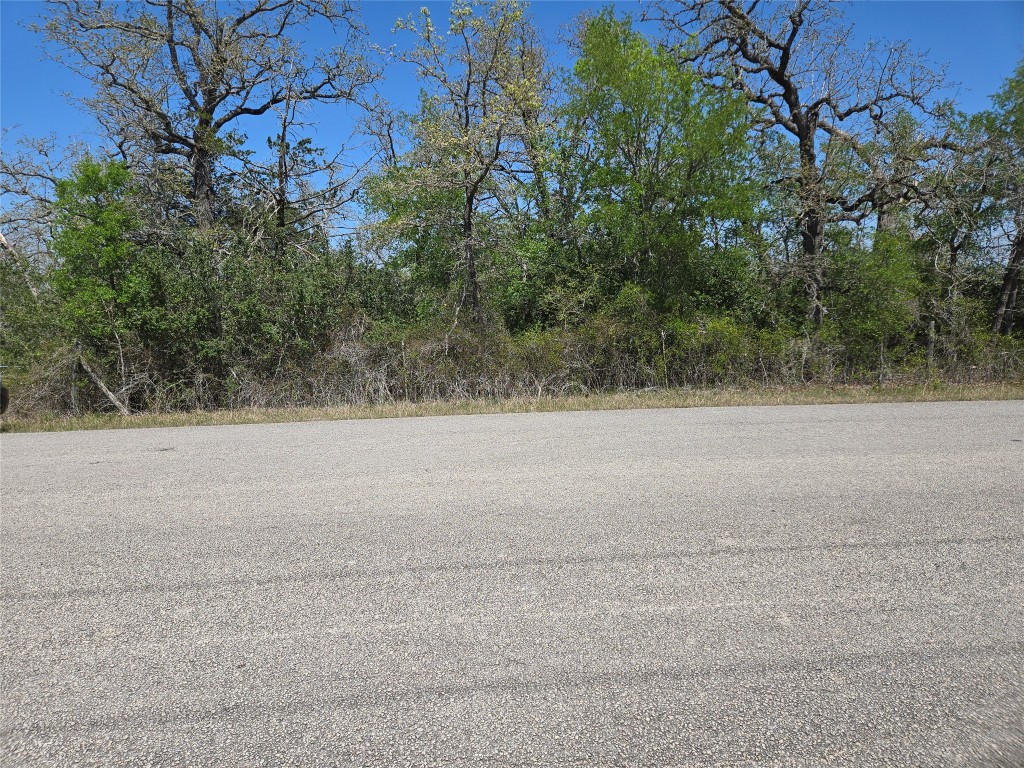 TBA Thousand Oaks Dr. Lot Thousand Oaks Drive , Cedar Creek, TX, 78612 | 7828876 | Realty Texas LLC