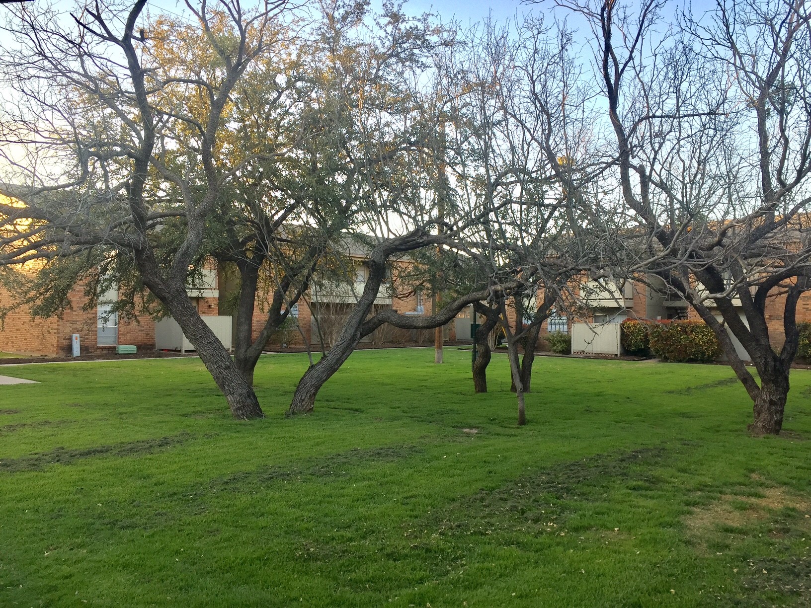 750 N Judge Ely Boulevard 127 , Abilene, TX, 79601 | 20909962 | Realty Texas LLC