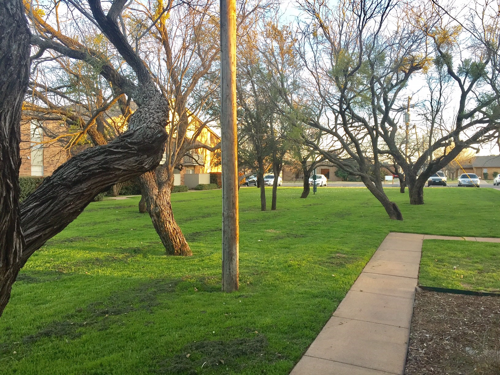 750 N Judge Ely Boulevard 127 , Abilene, TX, 79601 | 20909962 | Realty Texas LLC