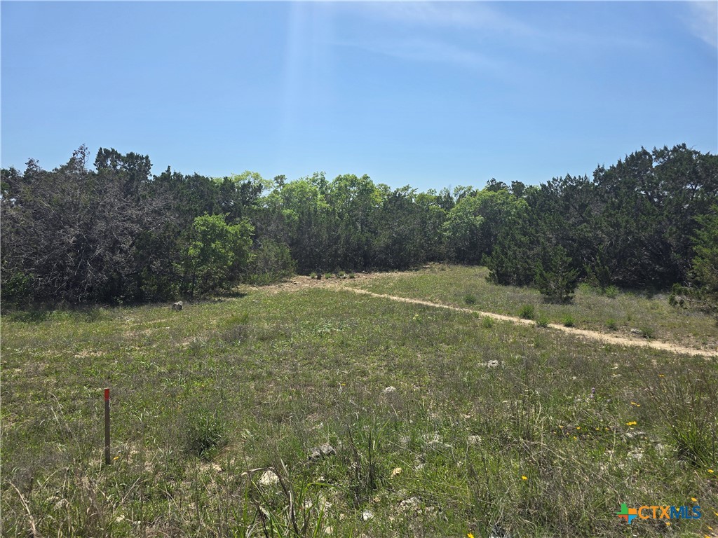 tbd Cliff Drive , Spring Branch, TX, 78070 | 576490 | Realty Texas LLC