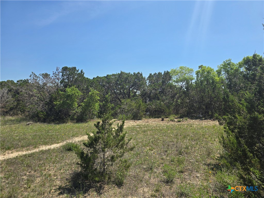 tbd Cliff Drive , Spring Branch, TX, 78070 | 576490 | Realty Texas LLC