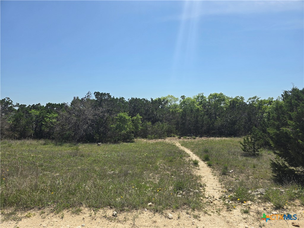 tbd Cliff Drive , Spring Branch, TX, 78070 | 576490 | Realty Texas LLC