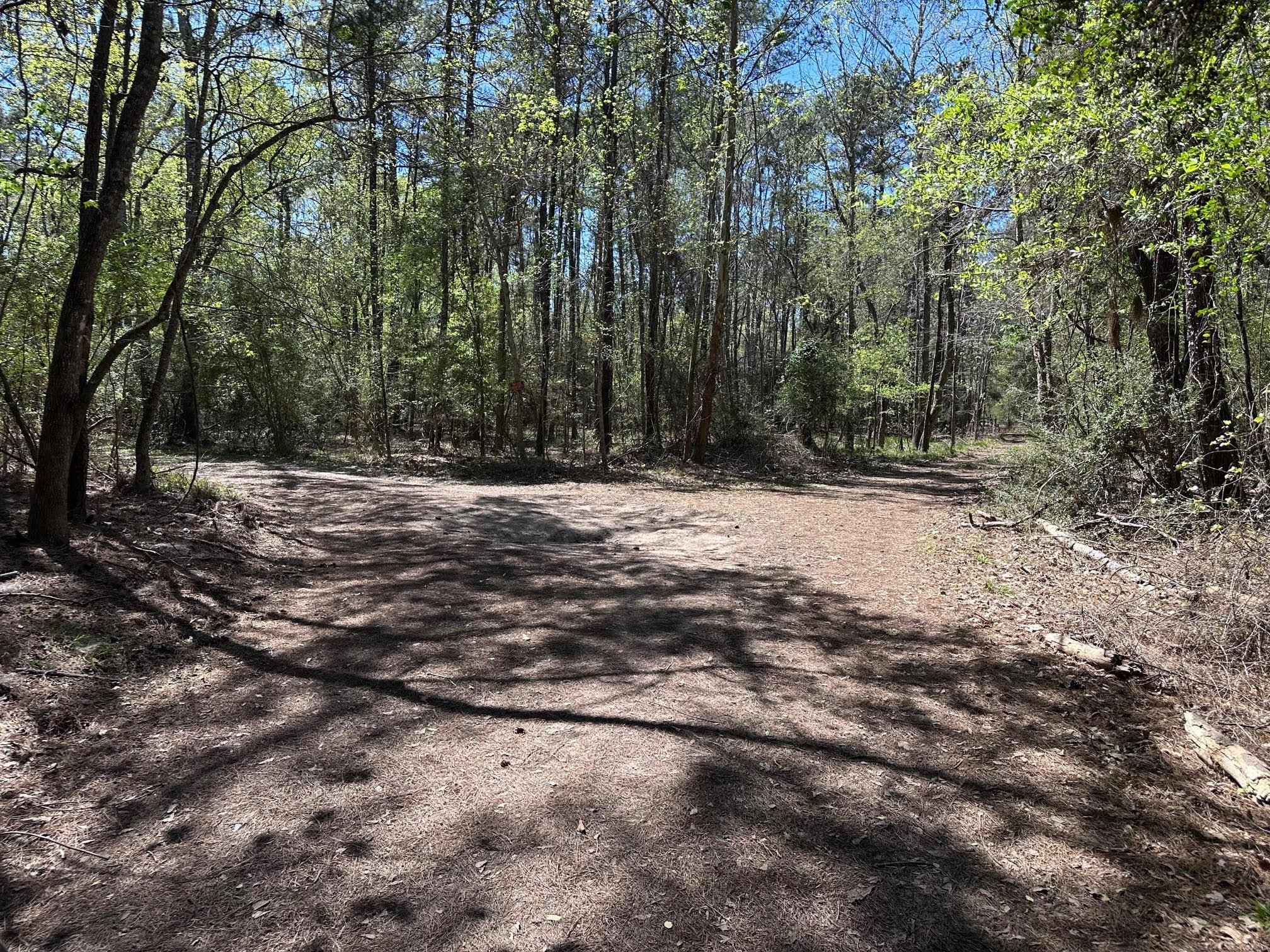 0 0 Moonshine Hill Road , Houston, TX, 77338 | 7670263 | Realty Texas LLC
