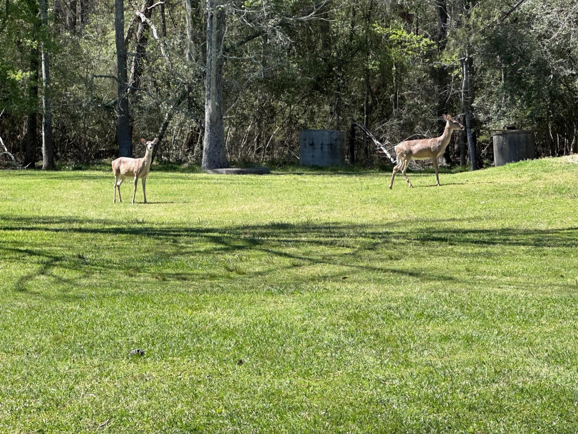 0 0 Moonshine Hill Road , Houston, TX, 77338 | 7670263 | Realty Texas LLC