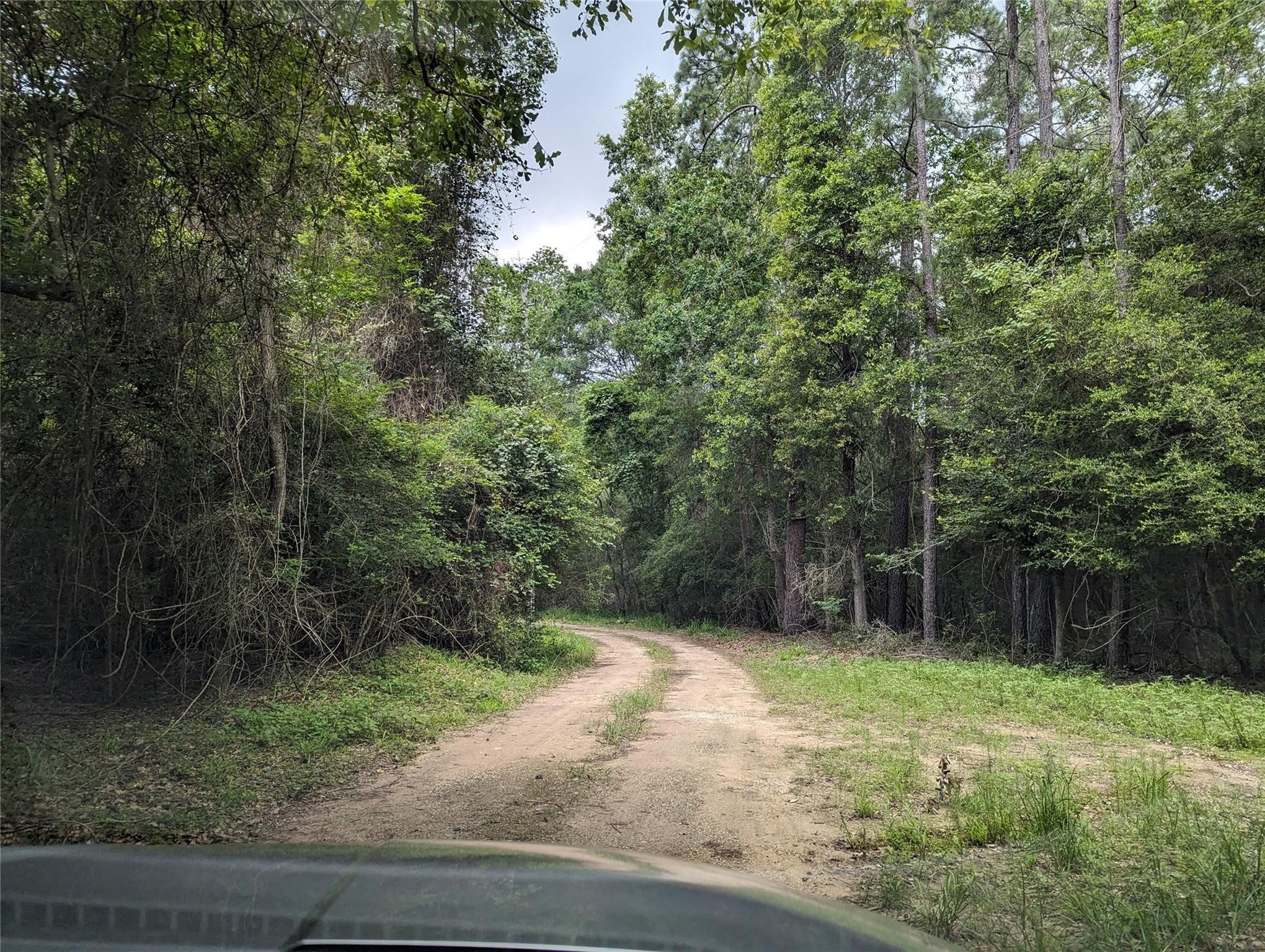 0 0 Moonshine Hill Road , Houston, TX, 77338 | 7670263 | Realty Texas LLC
